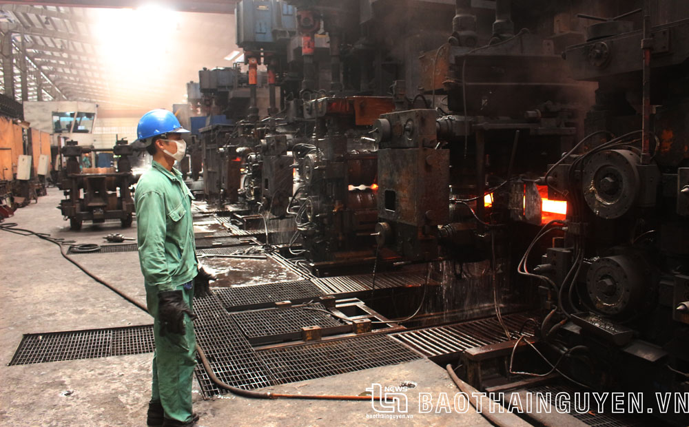 Nhiều doanh nghiệp Tết này không nghỉ
