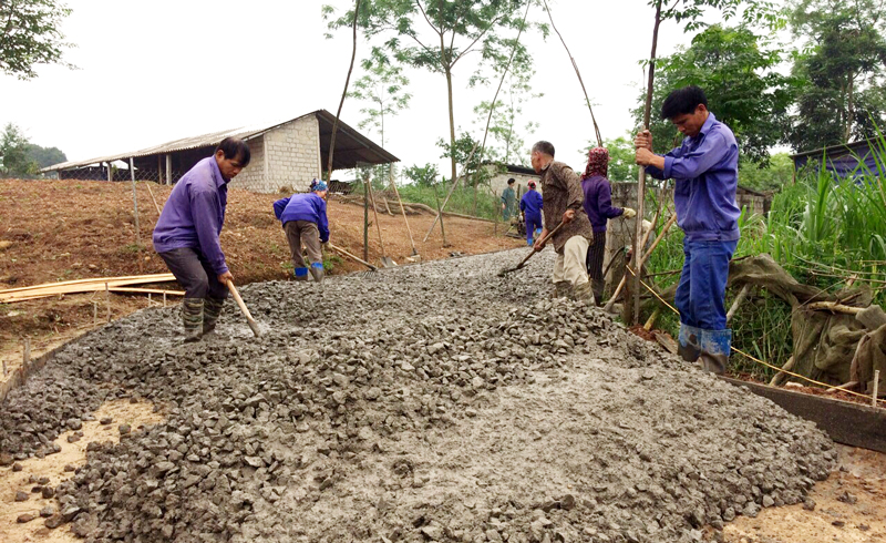 Phú Bình: Phân bổ 15.750 tấn xi măng cho các xã xây dựng kết cấu hạ tầng
