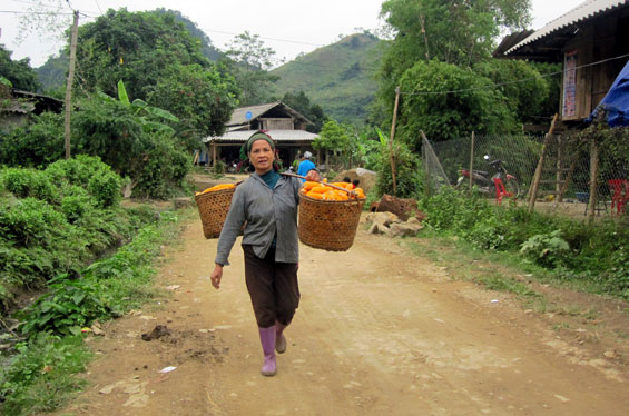 Ước mơ thành hiện thực