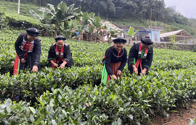 Yên Lãng hướng đến mục tiêu xây dựng đô thị