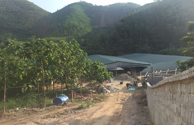 Đại Từ: Quy hoạch 57 điểm chăn nuôi tập trung