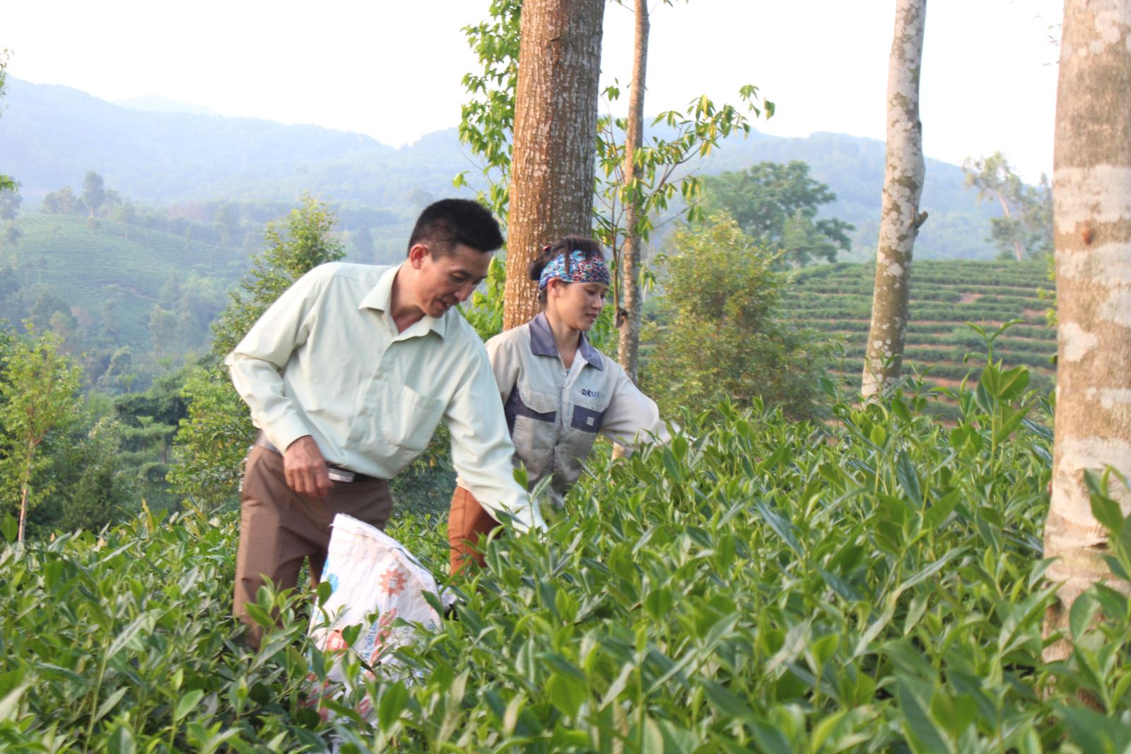 Đại Hà - xóm điển hình về nhiều mặt