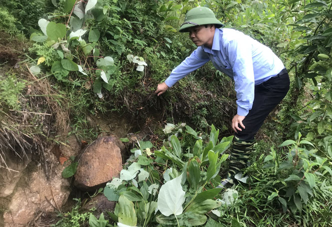 Cần xử lý triệt để tình trạng sạt lở ở Tân Thái