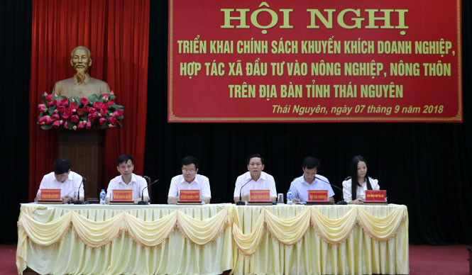 Khuyến khích doanh nghiệp đầu tư vào lĩnh vực nông nghiệp, nông thôn