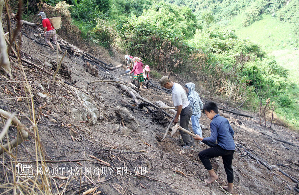 Quan tâm phòng, chống tai nạn thương tích cho trẻ em vùng cao