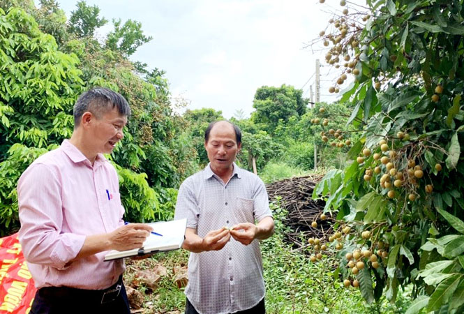 “Khát” nguồn vốn cho vay giải quyết việc làm
