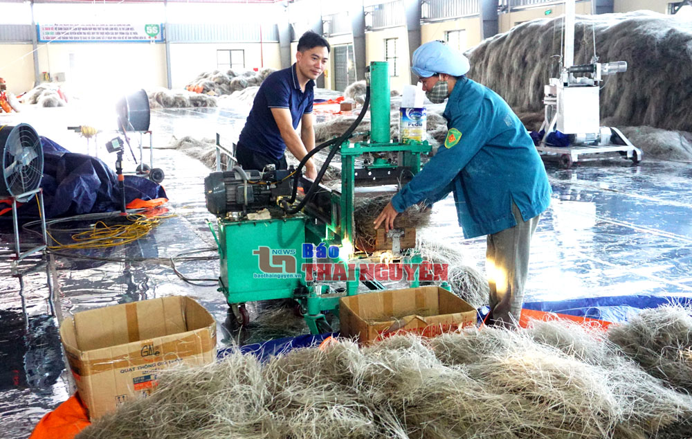 OCOP - Hướng đi hiệu quả của hợp tác xã
